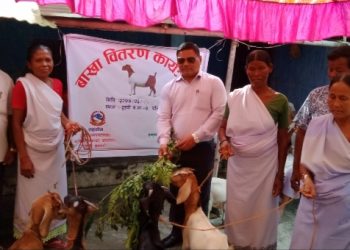 दुहबीको सुर्यमुखी महिला बाख्रा पालन समुहलाइ ४० वटा बाख्रा वितरण