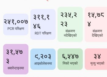 थप २९३ जनामा कोरोना संक्रमण, संक्रमित संख्या १५७८४ पुग्यो