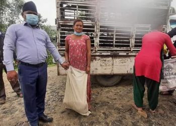 दुहबी नगरपालिकाले गर्यो कृषकलाइ उन्नतजातको बङ्गुर बितरण