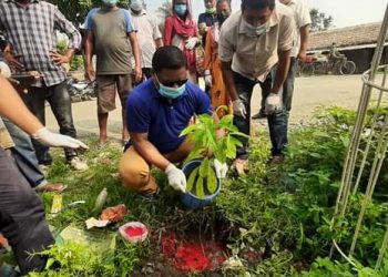 दुहबि नगरपालिकाले गर्यो बृक्षारोपण