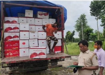 स्याउ तस्करी प्रकरणमा गृह मन्त्रालय र प्रहरी प्रधान कार्यालयको समेत चासो, उच्च प्रहरी अधिकारी संलग्न बारे अनुसन्धान हुने