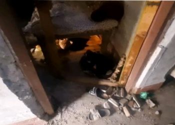 इटहरीमा बम बिस्फोट हुदाँ दुईजना घाइते