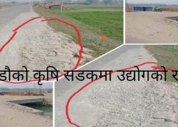 दुहबीमा करोडौको कृषि सडक प्लाई उद्योगले गर्दा क्षतीग्रस्त