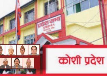 कोशीका केही सांसदलाई मासिक ३४ हजारको लोभ-छोराछोरी,बुहारी र ज्वाइँलाई बनाए स्वकीय सचिव