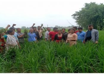 बुढीगंगामा माओवादीले धान गोडेर तीन महिने पार्टी सुदृढीकरण अभियान उद्घाटन