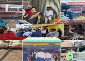 दुहबीमा केही मासु पसलहरुको ठगी धन्दा रोगी र मरेको कुखुराको मासु बिक्री गर्दै।