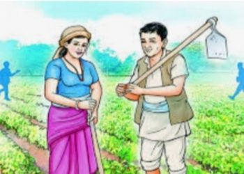 सरकारी अनुदानमा ९३ प्रतिशत किसान पहुँच बाहिरै