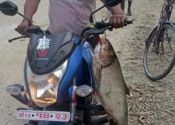 बुढी गंगा ४ का वडा अध्यक्षले सरकारी गाडी दुरुपयोग गर्दै ।