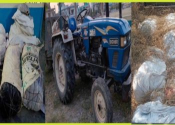 बर्जु बाट १८८ के.जी अवैध लागु औषध गाँजा सहित ट्याक्टर प्रहरीको  नियन्त्रणमा ।