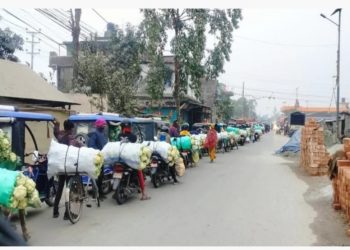 तरकारीको उचित मूल्य नपाउँदा किसान मारमा