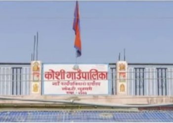 कोशी गाउँपालिकामा चरम अनियमितता जनप्रतिनि र कर्मचारीको मनमौजि ।