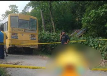 सुनसरीको गढिमा स्कुल बसले किचेर ३ वर्षीय नाबालकको मृत्यु ।