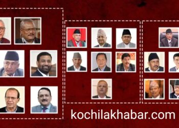 ४९८ ज्येष्ठ नागरिक चुनावमा भिड्दै स्वतन्त्र र पुराना दलबाट धेरै